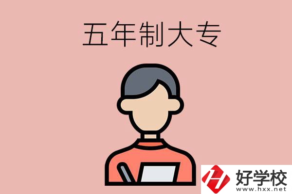 長(zhǎng)沙比較容易進(jìn)的五年制大專(zhuān)有哪些？