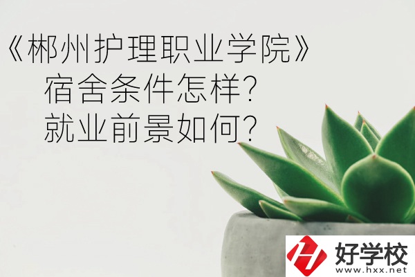 郴州護(hù)理職業(yè)學(xué)院宿舍條件怎樣？就業(yè)前景如何？