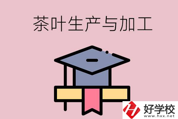 湖南哪些技校開設(shè)了茶葉生產(chǎn)與加工專業(yè)？