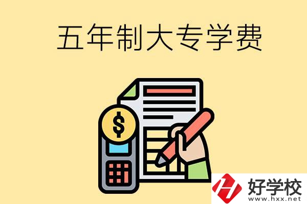 在長(zhǎng)沙讀五年制大專(zhuān)一年學(xué)費(fèi)是多少？有補(bǔ)貼嗎？