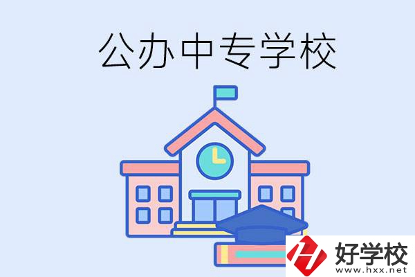 湘西一共有多少所公辦的中專學(xué)校？