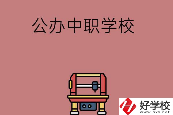 長沙可以學(xué)計(jì)算機(jī)應(yīng)用專業(yè)的公辦中職學(xué)校有哪些？