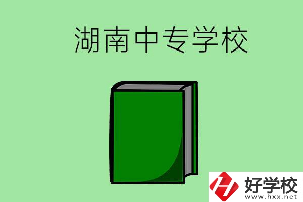 湖南的中專學(xué)校有哪些？都開(kāi)設(shè)了哪些專業(yè)？