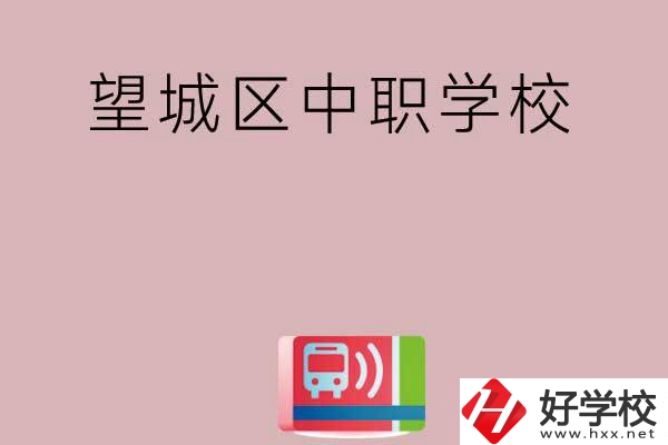 長(zhǎng)沙望城區(qū)有哪些中職學(xué)校？