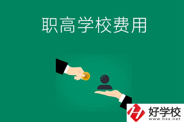 上懷化的公立職高學(xué)校要多少費(fèi)用？