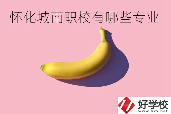 懷化城南職業(yè)學校有哪些專業(yè)？學校好不好？