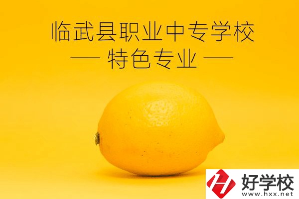 臨武縣職業(yè)中專學(xué)校好嗎？有哪些特色專業(yè)？