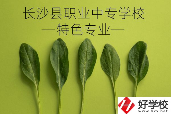 長沙縣職業(yè)中專學(xué)校怎么樣？有什么特色專業(yè)？