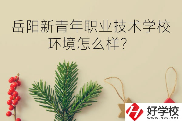 岳陽新青年職業(yè)技術學校好不好？環(huán)境怎么樣？