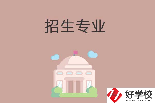 益陽有哪些高職院校設(shè)立了中職部？招生專業(yè)有哪些？