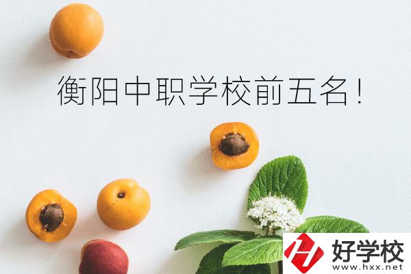 衡陽中職學(xué)校前五名！你選對了嗎？