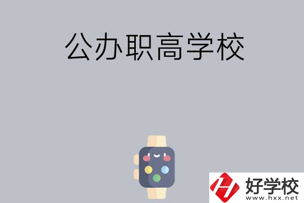 長(zhǎng)沙哪些公辦職高學(xué)校比較有特色？