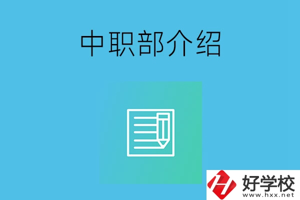 湘潭院校中職部介紹，這幾所學校你知道嗎？