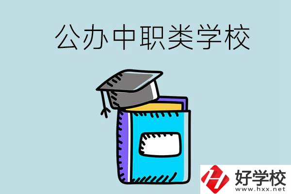 湘西的公辦中職類學(xué)校一共有多少所？