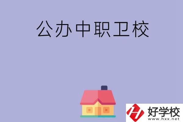 湖南公辦中職衛(wèi)校有哪些？這2所值得關(guān)注！