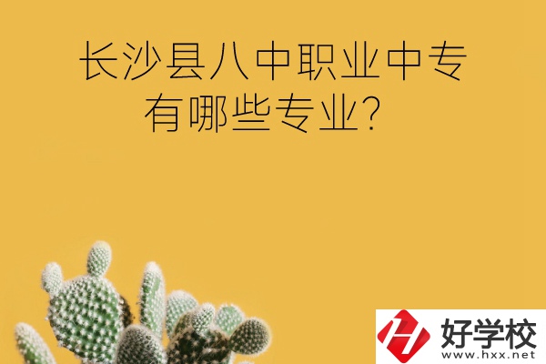 長(zhǎng)沙縣八中職業(yè)中專(zhuān)好不好？有哪些專(zhuān)業(yè)？