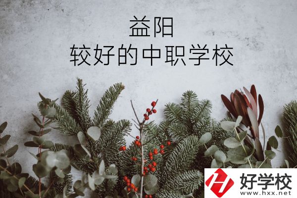 益陽有哪些中職學(xué)校比較好？