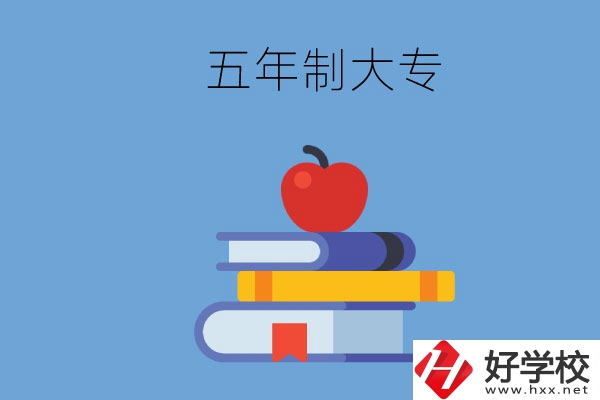 長沙開設(shè)教育類專業(yè)的五年制大專有哪些？