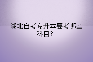 湖北自考專(zhuān)升本要考哪些科目？