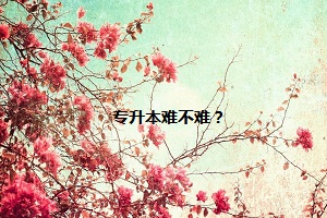專升本難不難？