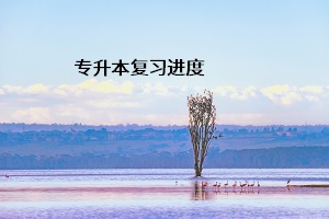 專升本復習進度