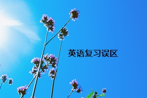 英語復(fù)習(xí)誤區(qū)