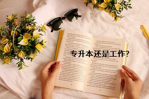 專升本還是工作？