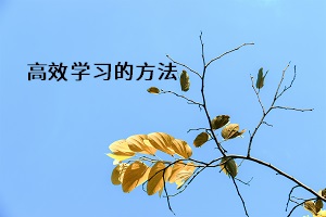 高效學(xué)習(xí)的方法