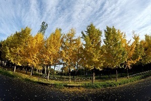 大專第三年才開始準(zhǔn)備普通專升本考試來得及嗎？該如何備考？