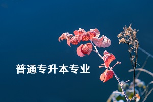 荊楚理工學(xué)院專升本的專業(yè)有哪些？專業(yè)考試難不難？