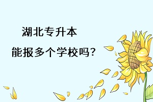 湖北專升本能報多個學習嗎？