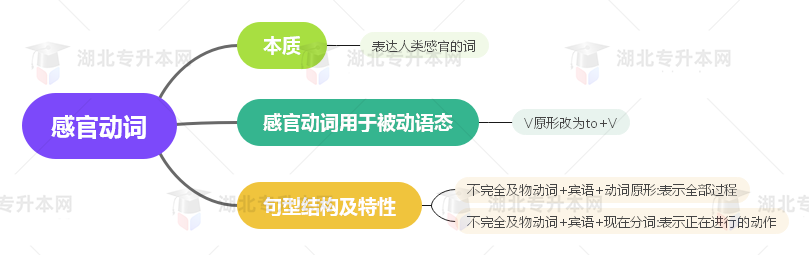 普通專升本英語要掌握多少種語法？25張思維導(dǎo)圖教會(huì)你！