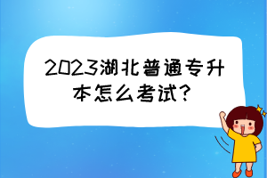 2023湖北普通專升本怎么考試？